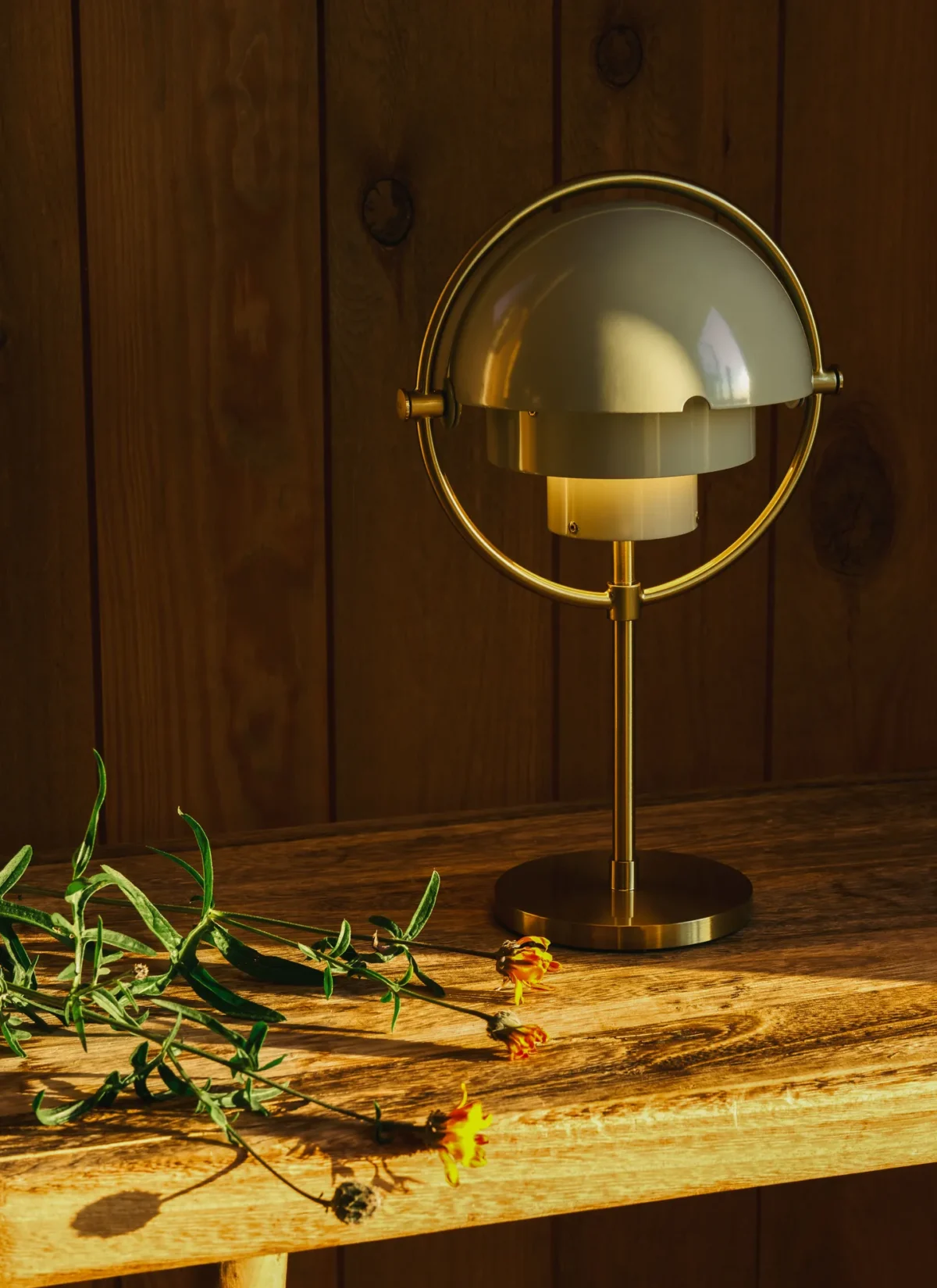 Multi-Lite Portable Lamp