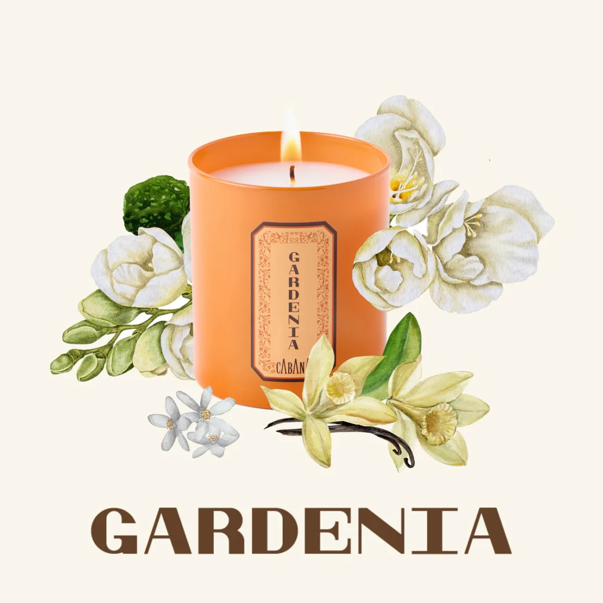 Cabana Candle & Woven Vimini Candle Holder Set