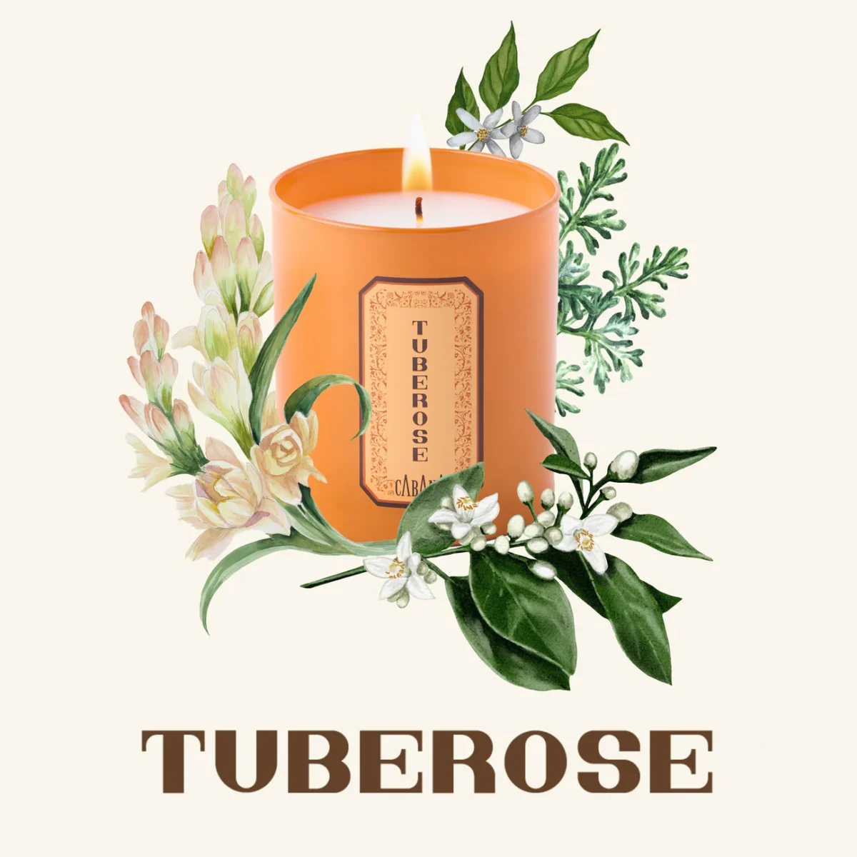 Cabana Candle & Woven Vimini Candle Holder Set