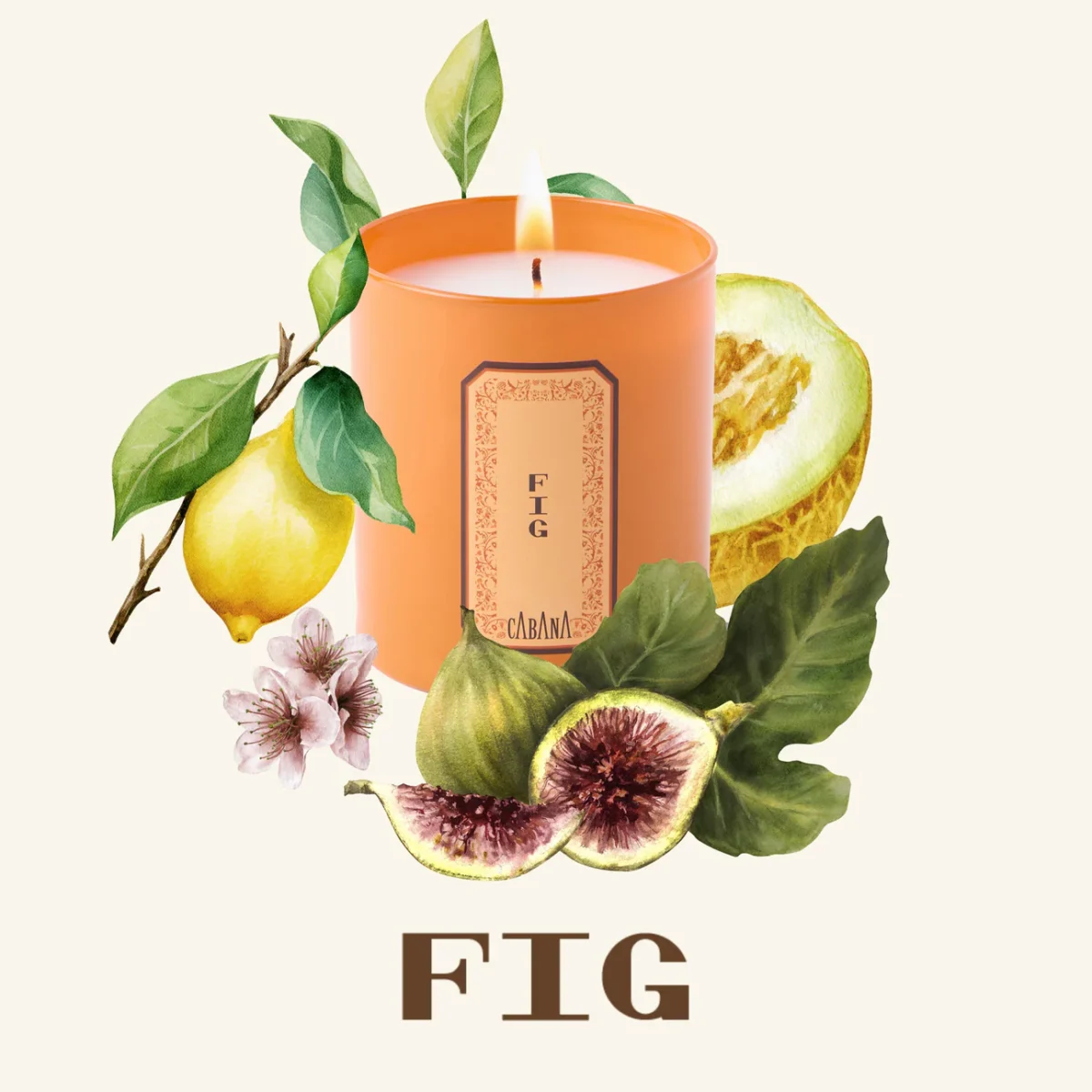 Cabana Candle & Woven Vimini Candle Holder Set