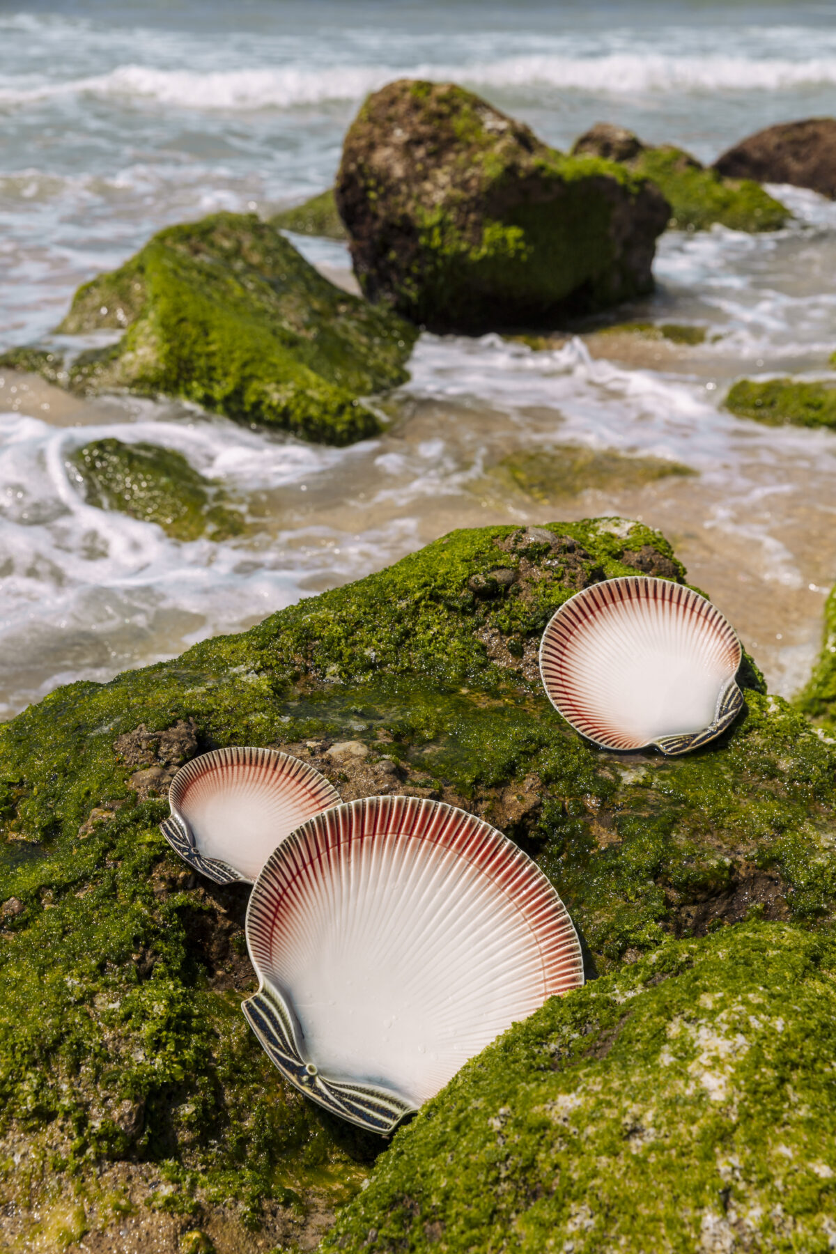 Oysters and Scallops Dinner Plate