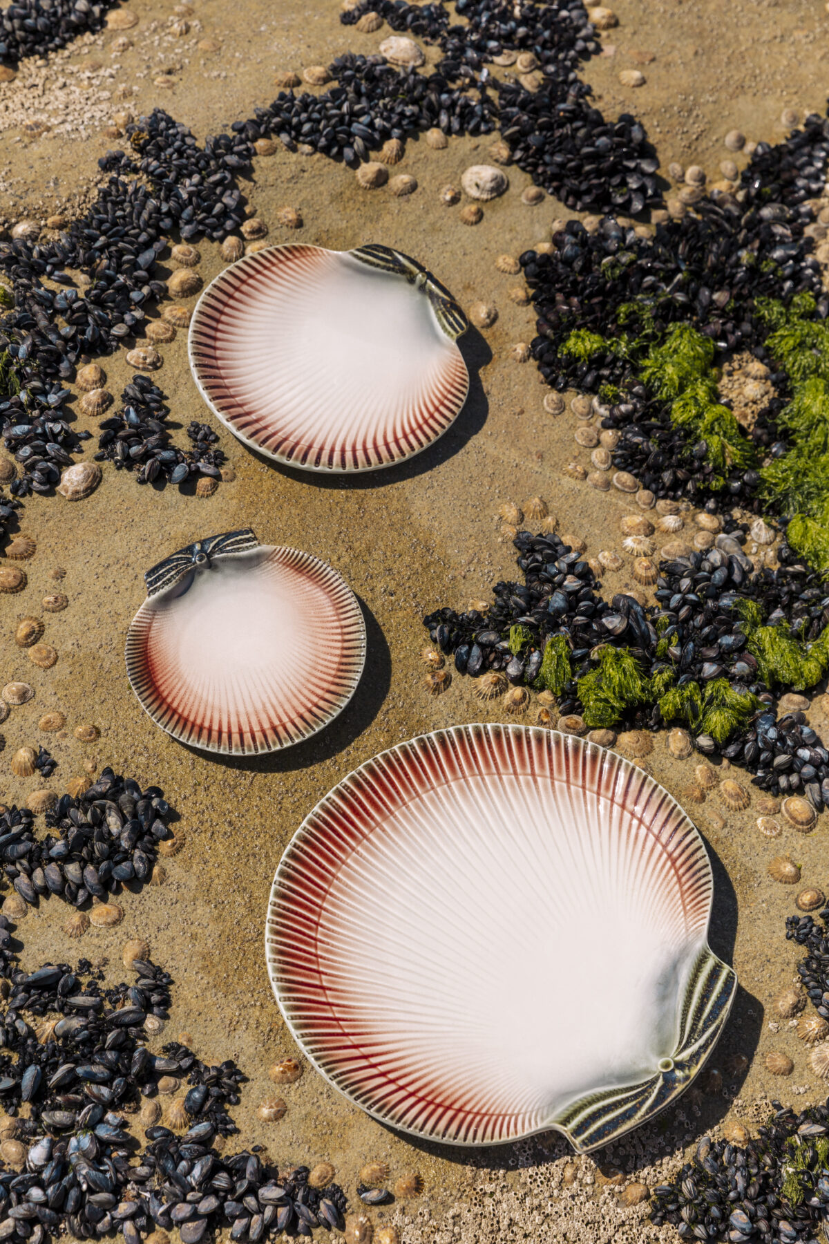 Oysters and Scallops Dinner Plate